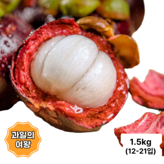 망고스틴 과일여왕 스위트 망고스틴, 1박스, 1.5kg (12-21개)