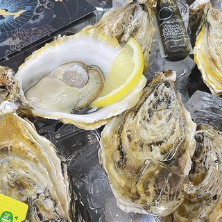 100% 국내산 뿔소라 통영 가리비 굴 당일수확, 1개, 스텔라마리스 2kg