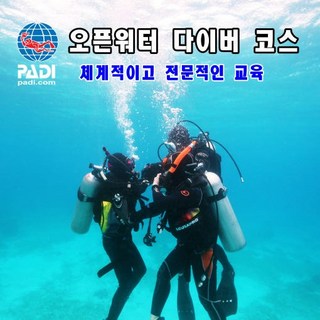 스킨스쿠버 자격증 코스 오픈워터 다이버 코스, 직접방문