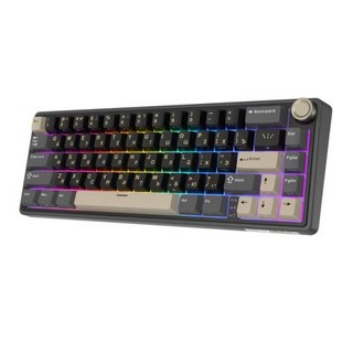 미니 키보드 Royal Kludge 유선 기계식 RGB 백라이트 핫 스왑 가능 게이밍 MDA PBT 키캡 포함 66 키 65 개스킷 RK R65, [01] Chartreuse Switch, 12) Russian Phantom - 다크 브라운 스, 없음
