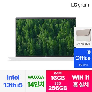 LG전자 최신 그램 14인치 인텔 i5 13세대 윈도우11 16GB 256GB, 14ZD90RU-GX56K, WIN11 Home, 화이트