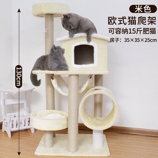 배달 고양이 애완동물 점프 새끼 나무 드림 가구 무이마린 놀이 광폭사다리