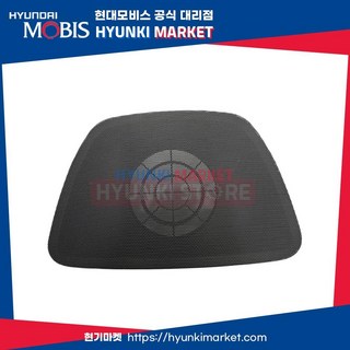 그릴 센터 스피커