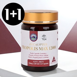 [ 1+1 ] 호주산 프로폴리스 12000 호주 헬씨패밀리 유칼립투스 Propolis, 1개, 120정