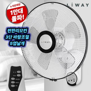 리웨이 저소음 벽걸이 리모컨 선풍기, 리웨이 데일리 리모컨 벽걸이 선풍기