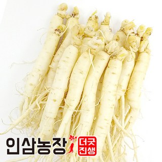 인삼 수삼 금산인삼 세척 원수삼 더굿진생, 1개, 세척인삼450g(14~16뿌리)