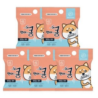 브리더랩 한입에 쿵 맛있는 큐브 간식, 연어
