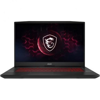 2. MSI Puls..