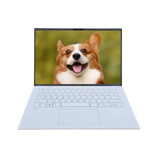 2. LG전자 그램1..