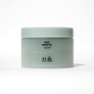한율 어린쑥 수분진정 패드 170ml, 60개입, 1개