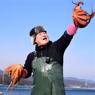 통영 자연산 돌문어