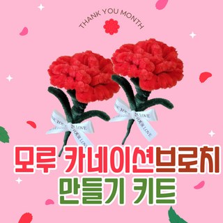 어버이날 모루 카네이션 브로치 만들기 키트, 4개