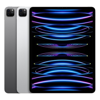 Apple 정품 2022 아이패드 프로 12.9 6세대 M2칩, 실버, 512GB, Wi-Fi+Cellular