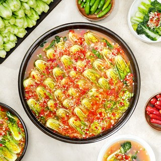 셰프애찬 얼갈이 물김치 김치 꽁보리김치 1kg/캔, 1kg, 1개