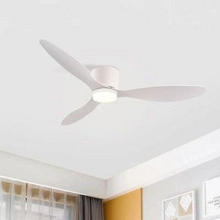 써큐라이트 IRALAN BLDC 실링팬 52인치 천정 천장 선풍기 저소음 실링펜42인치, 1) WHITE - 52inch