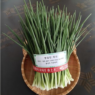 오늘 출발! [생산자 직판 / 덤 행사] 포항 영일만 쪽파 / 다듬어 손질한 해풍 깐쪽파 / 국내산 햇쪽파 / 3단 이상 10% 덤 / (1단 1kg), 1개, 1kg
