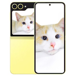 삼성전자 갤럭시 Z 플립 6 512GB, 옐로우