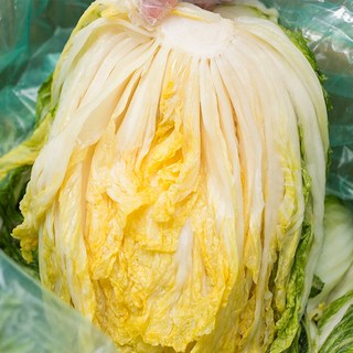 해남 김장김치 절임배추 20Kg 청명가을 겨울왕국 품종 지정일자 배송, 지정일배송, 1박스