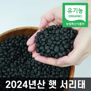 파인드네이처 국내산 유기농 24년산 햇 속청 콩 잡곡 서리태, 1개, 1kg