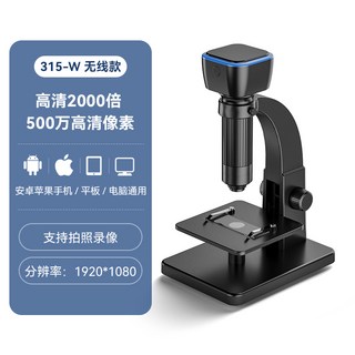 주사 전자 현미경