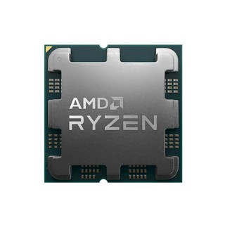 AMD 라이젠 정품 R5 7600X CPU (멀티팩 라파엘 AM5 쿨러미포함), 선택하세요