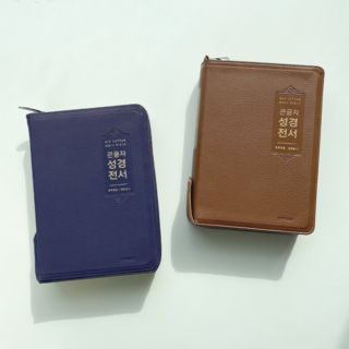 고급 큰글씨 성경책 개역개정 새찬송가 큰글 큰글자 가죽 성경 아가페, 4.[대]NKR72EWBU-브라운