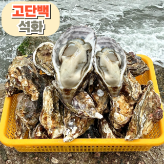 [산지직송] 품질선별 통영여수 석화 하프쉘석화, 1개, 하프쉘 석화 120-150미