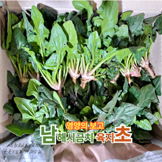 2. [ 지금은 제철..