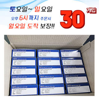 젠바디 코로나 진단키트 최신제조 신속항원 자가진단키트 30회분, 15세트, 1개입