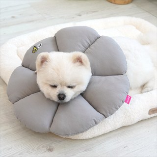 패리스독 꿀잠카라 그레이 (사이즈선택), 1개