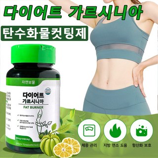 4. 다이어트 보조제..