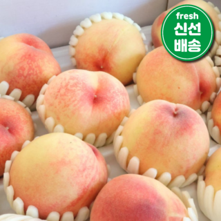[신선댁] 파격특가!! 고당도 아삭 딱딱이 복숭아 백도, 1박스, 4kg(대과)