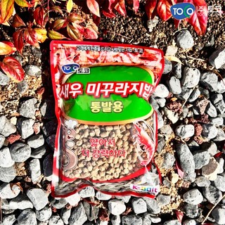 토코 새우 미꾸라지밥 통발용 집어제 민물떡밥, 3개, 400g