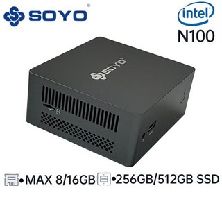 4. N100 미니P..