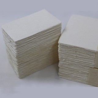 PaperPhant 많이 두꺼운 티끌지