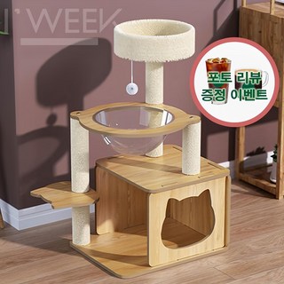 3. 아이위크 고양이..