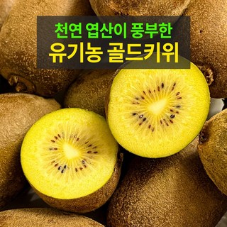 [당일출고] 제주 골드키위 2kg 명품 고당도 3kg 대과, 1박스, 2kg (중과)