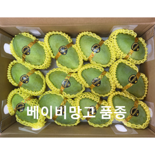 알라딘푸드 베트남 그린망고 께오입고, 1kg(3과), 1개