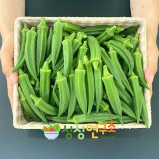 농림축산부장관상 농장 특품 오크라 1kg 오쿠라, 1개