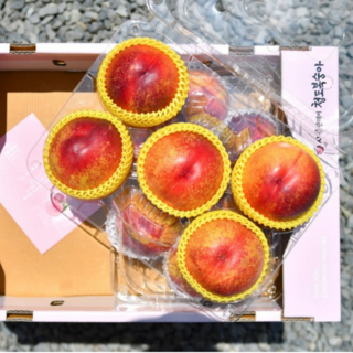 달달상점 고당도 신비복숭아 2주 한정판매, 1박스, 1kg (중소과)
