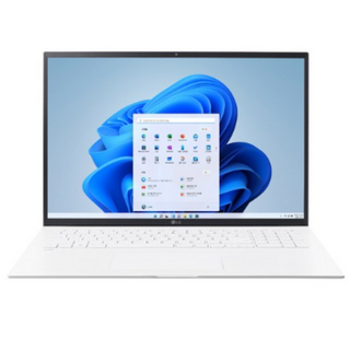 LG 그램17 17Z95P-GRFWK