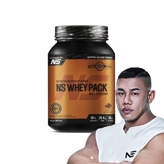 NS포대유청 초코맛 WPI 93% 분리유청단백질 단백질보충제, 1개, 450g