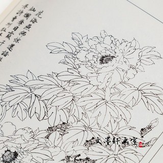 화접도 밑그림도안집 민화 백하 세트 한국화그리기 미술 한국화, 중국화 선화-모란화 매뉴얼