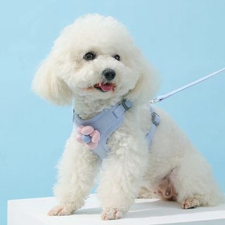 산책용 가벼운 강아지 하네스, 스카이 블루, 1개