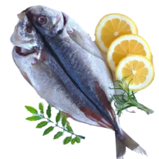 물만난제주 전갱이 각재기 아지 손질 국내산, 1개, 전갱이 자반 대(2kg) 6마리