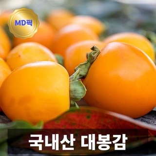 국내산 감 대봉감 10kg, 1개, 대과 10kg (34과수 내외)