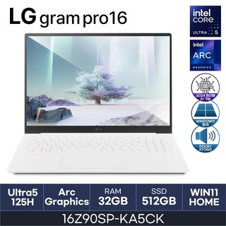 LG전자 LG 그램 프로 16Z90SP-KA5CK