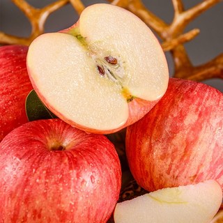 [특가판매] 꿀brix 아삭한 청송 부사사과, 1개, 5kg