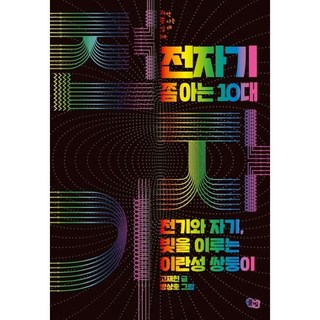 전자기 쫌 아는 10대 / 전기와 자기 빛을 이루는 이란성 쌍둥이, 고재현