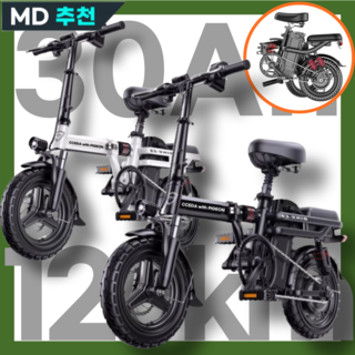 6. 피죤 전기자전거..